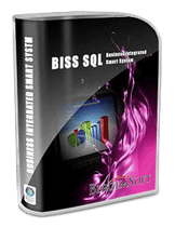 BISS wersja SQL , Oprogramowanie dla przedsiębiorstw , BergemSoft 